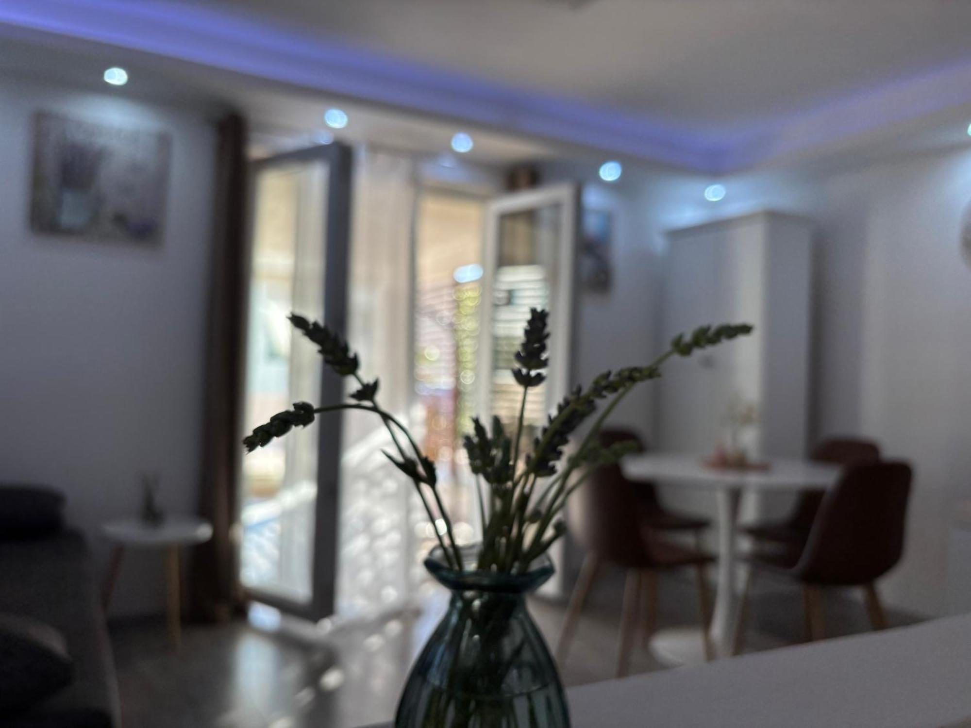 Luxury Apartman Nr Šibenik Eksteriør billede